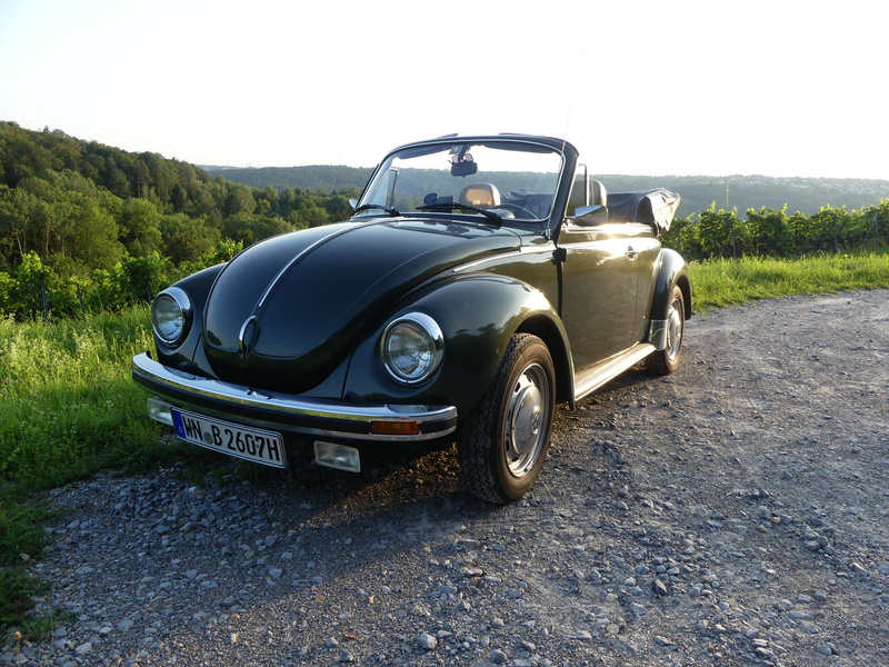 VW 1303