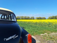 Wartburg 312/1