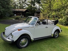 VW K&auml;fer