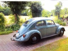 VW K&auml;fer