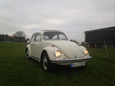 VW 1300
