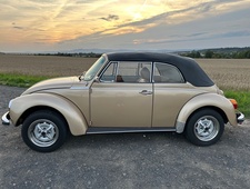 VW 1303