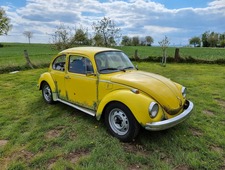 VW 1303