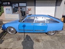 Citro&euml;n GS Pallas