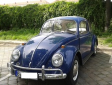 VW K&auml;fer