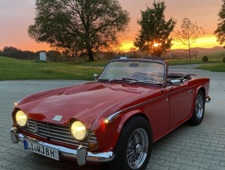 Triumph TR 250