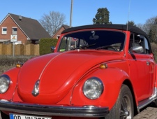 VW 1302