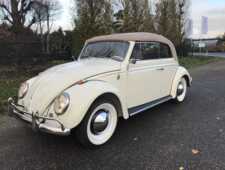 VW K&auml;fer 1200