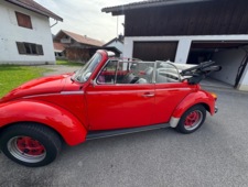 VW 1303