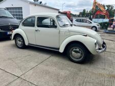 VW K&auml;fer 1303