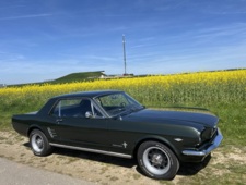 Ford (US) Mustang