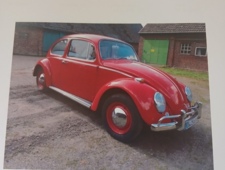 VW 1200