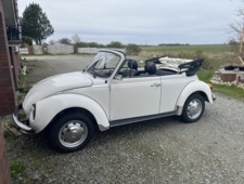 VW 1303