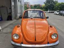 VW K&auml;fer 1303