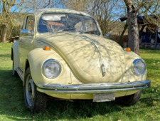 VW K&auml;fer 1302