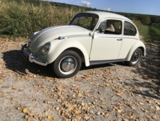 VW K&auml;fer