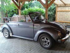 VW Käfer
