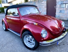 VW 1302
