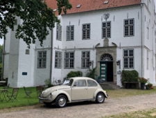 VW 1302