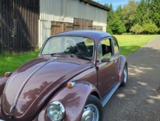 VW Käfer