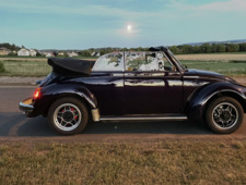 VW Käfer