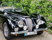 Jaguar XK 120