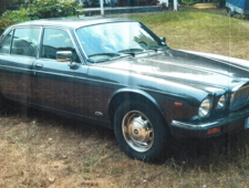 Jaguar XJ 12