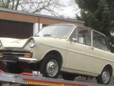 DAF Daffodil
