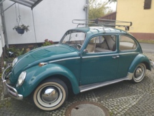 VW Käfer
